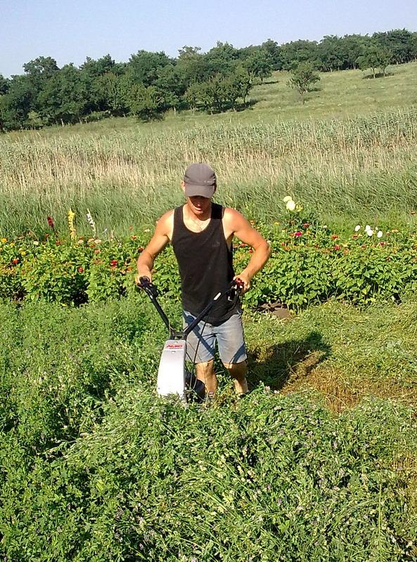 сінокос - Півні