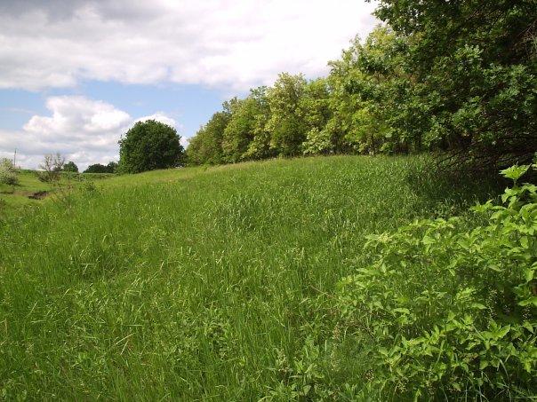 Солоне - Солоне