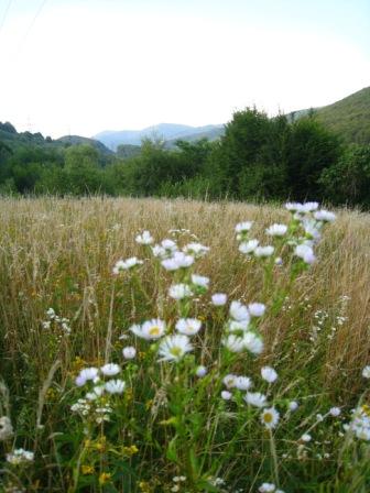 курорт Поляна - Поляна