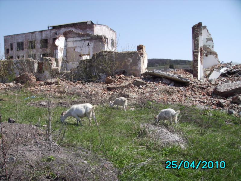 Почапинцы - Почапинці
