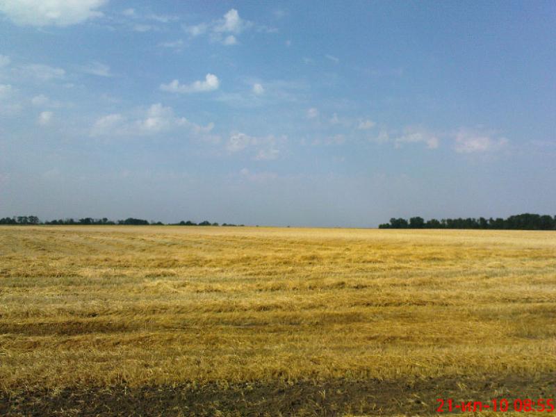 Лето 2010 - Дубов'язівка