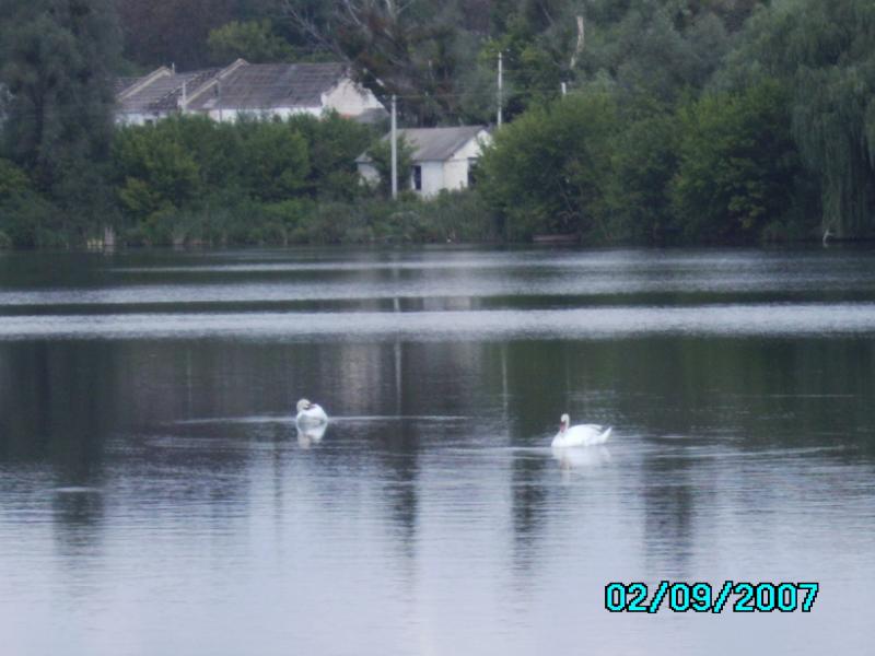 Почапинцы - Почапинці