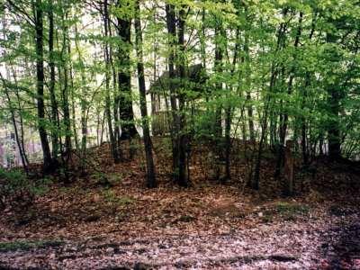 с. Нова Скварява - Нова Скварява