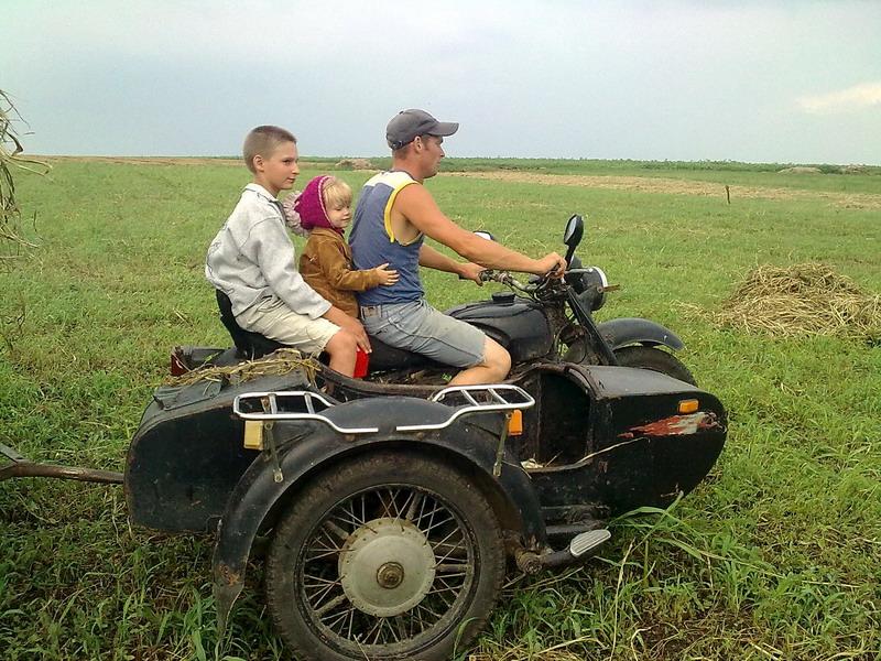 Фотоетюди - Півні