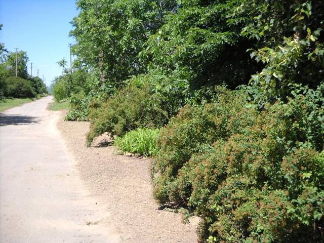 Моє село - Мала Лепетиха