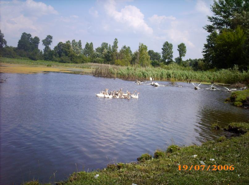 Моя маленька Батьківщина-село Гальчинці - Гальчинцы