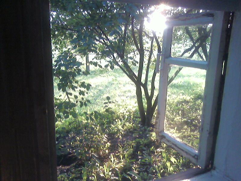 Лемеші.Літо - Лемеши