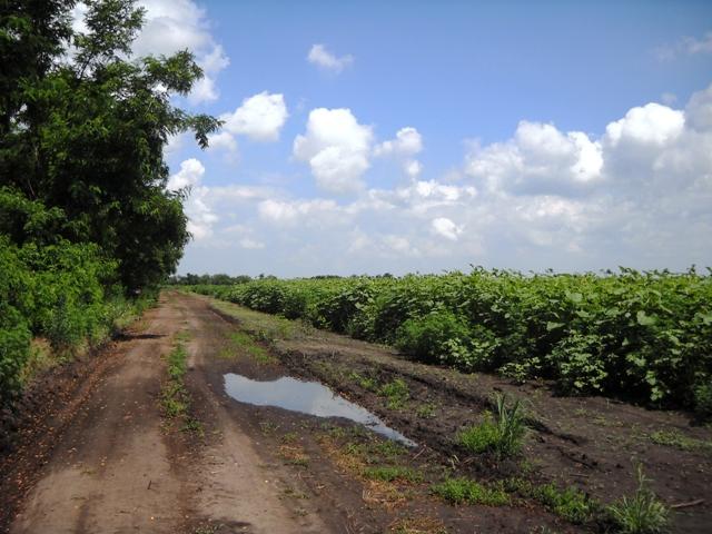 Моє село - Мала Лепетиха