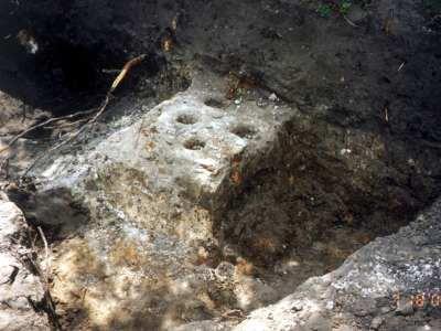 с. Нова Скварява - Нова Скварява