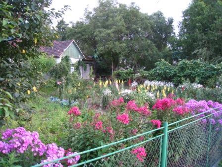 курорт Поляна - Поляна