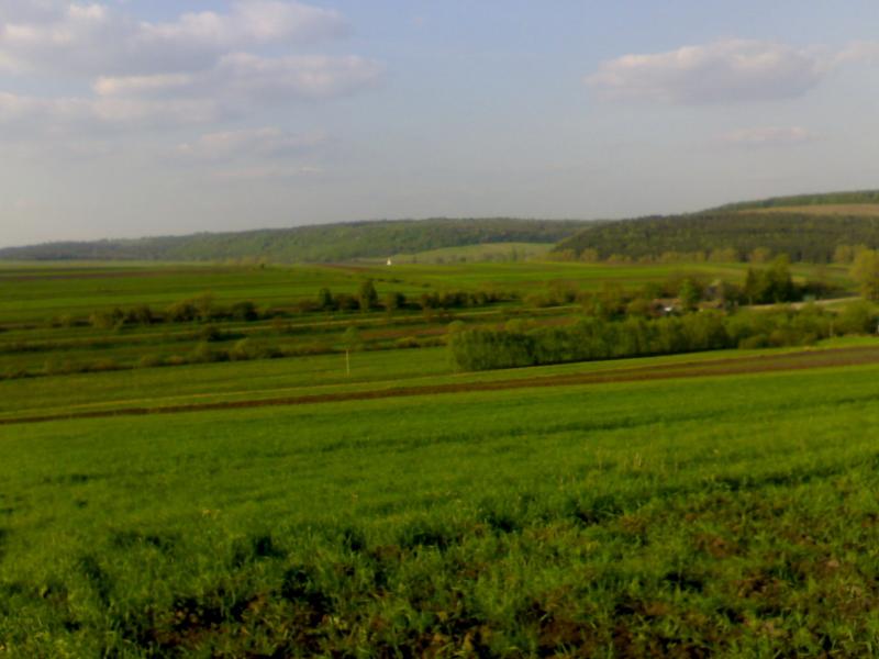 Природа - Ремезівці