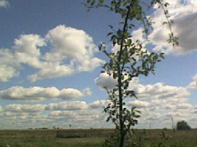 Красиві місця в Майданівці - Майданівка