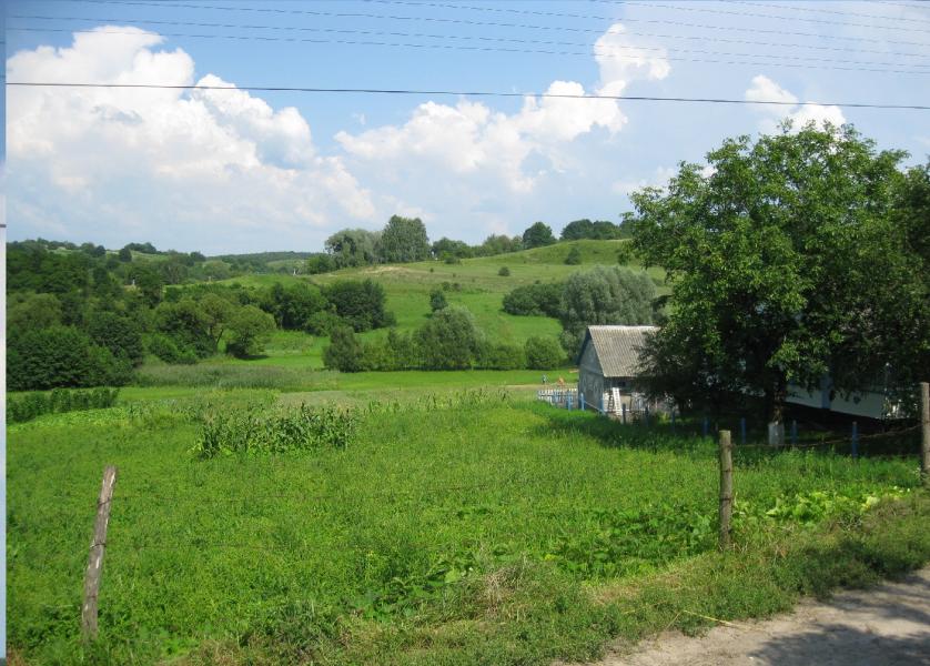 Плужне - Плужне