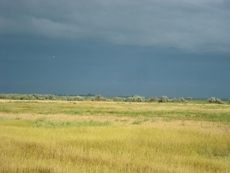 моє село - Привілля