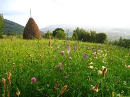 курорт Поляна - Поляна