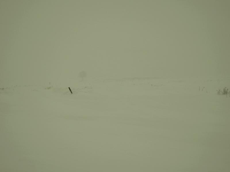 Замети Підбрусеня - Підбрусинь