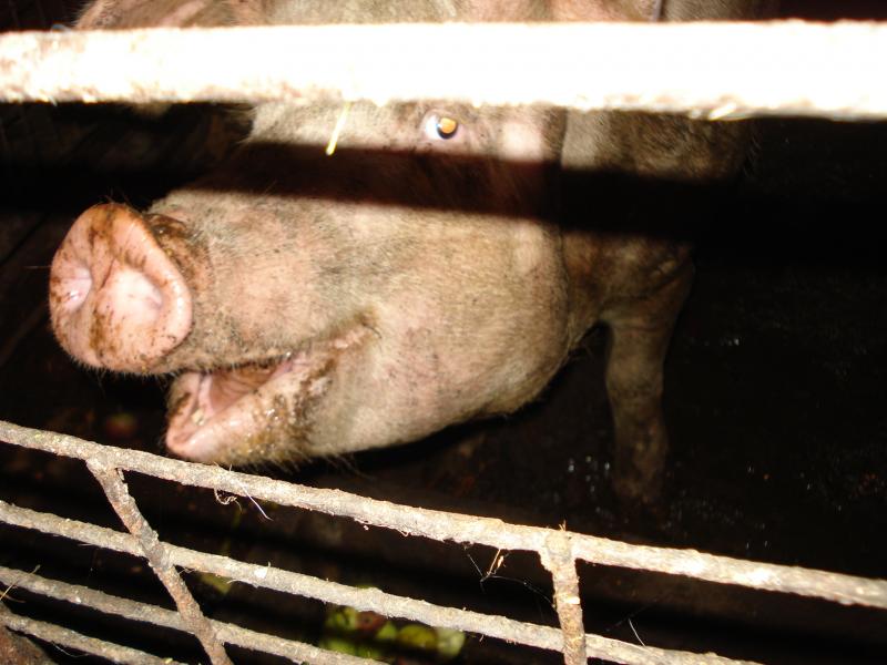 ми були у селі - Бакаївка