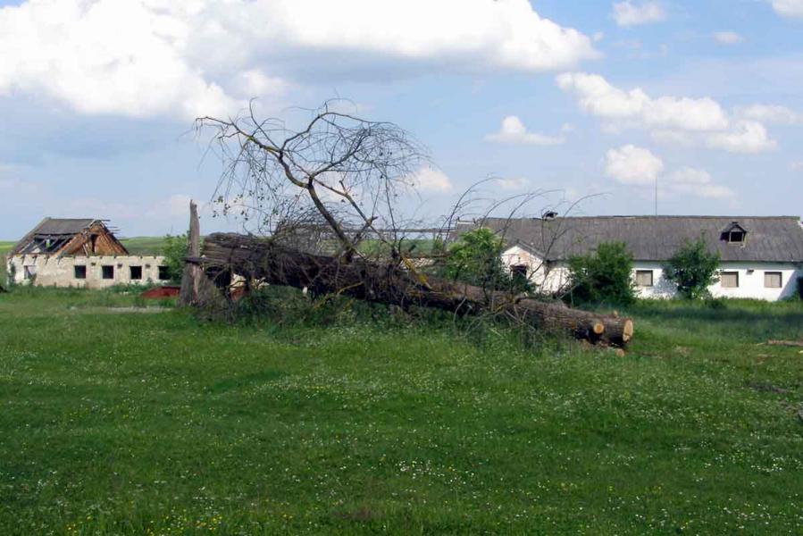 Вибудів моїми очима - Вибудів
