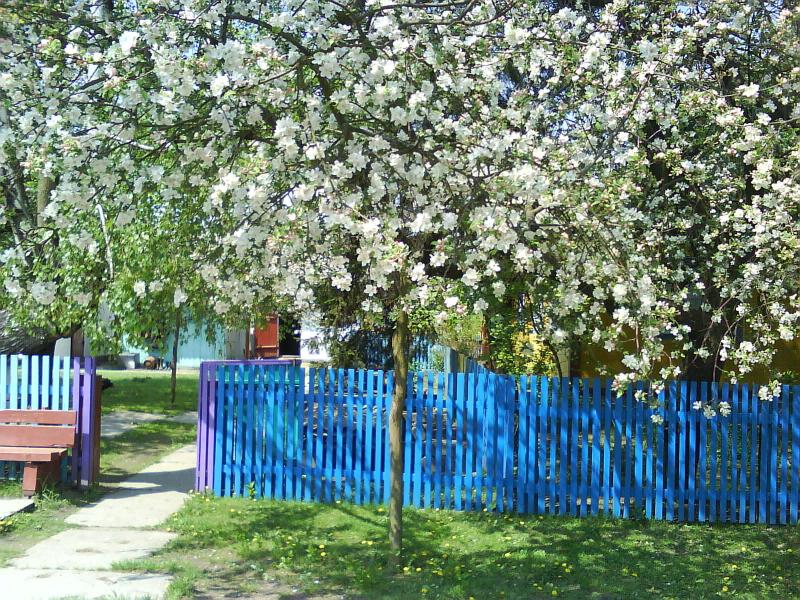 Красиві місця в Майданівці - Майданівка