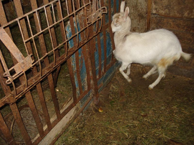 ми були у селі - Бакаївка