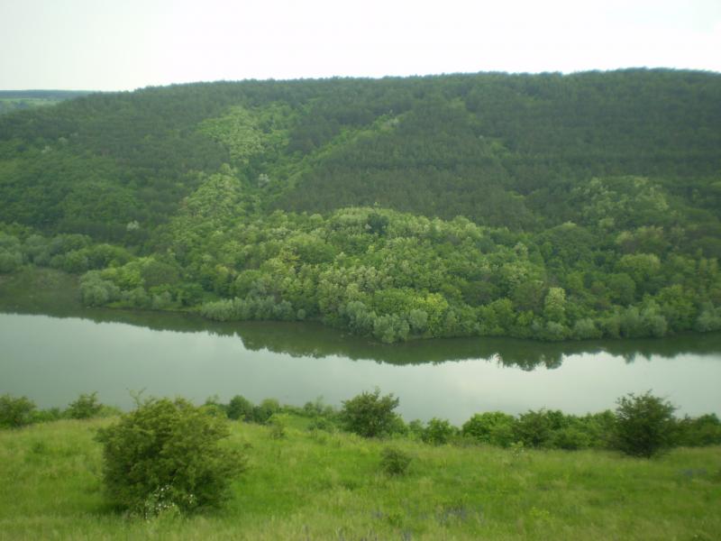 Природа - Стара Ушиця