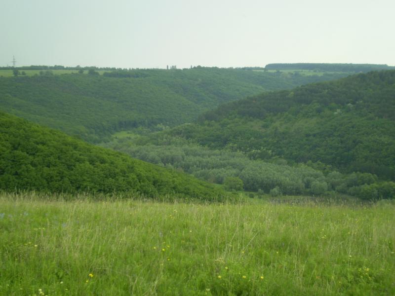 Природа - Стара Ушиця