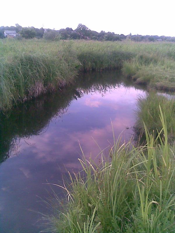 селещина - Селещина