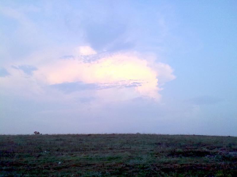 Фотоетюди - Півні