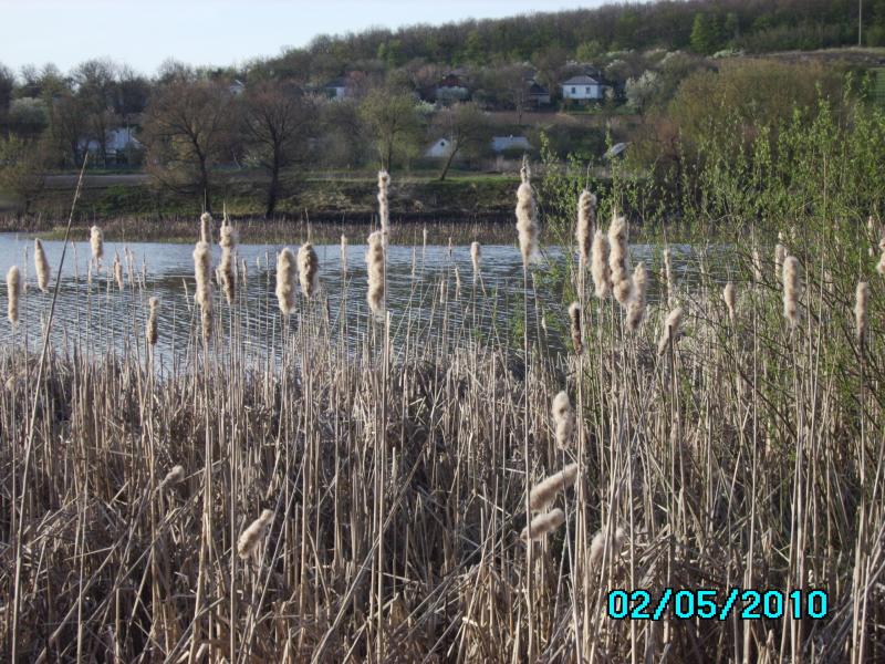Почапинцы - Почапинці