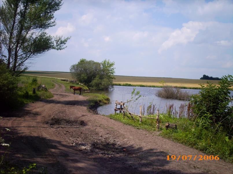 Моя маленька Батьквщина - Гальчинці