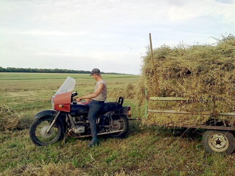 сінокос - Півні