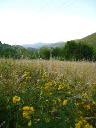 курорт Поляна - Поляна