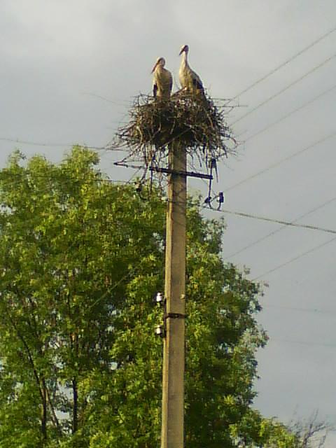 Красиві місця в Майданівці - Майданівка