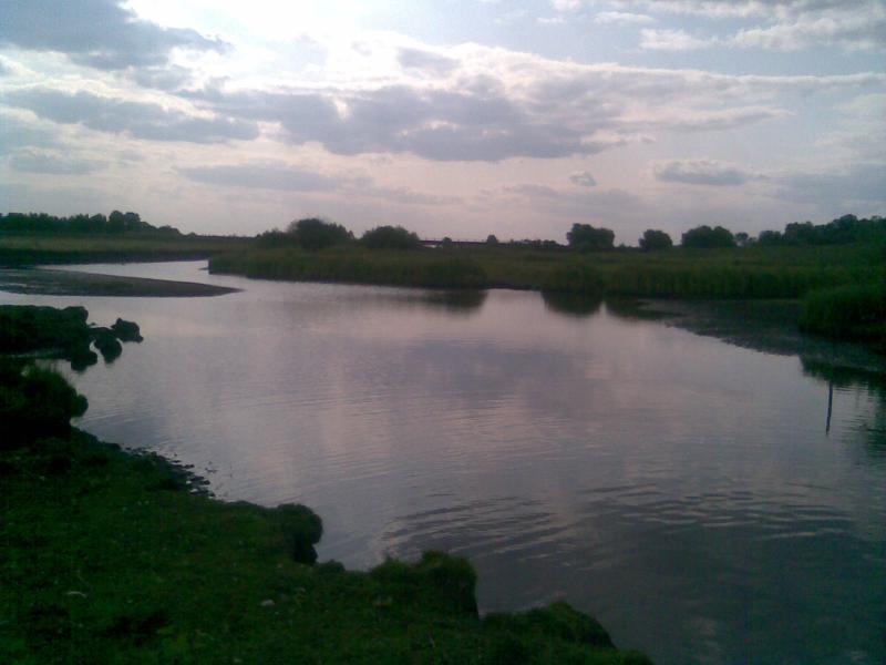 селещина - Селещина