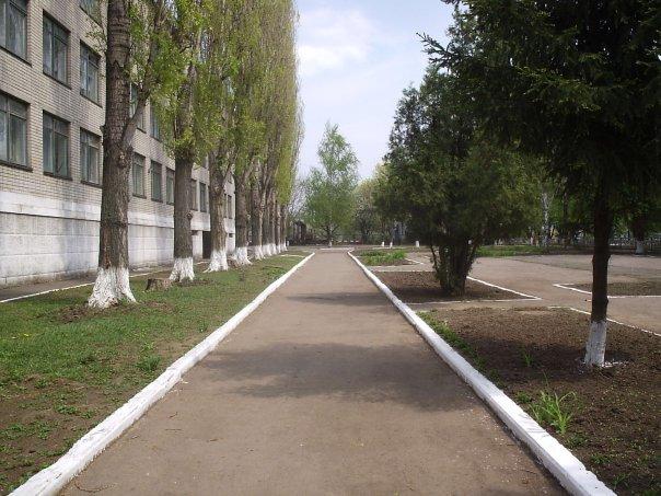 Солоне - Соленое