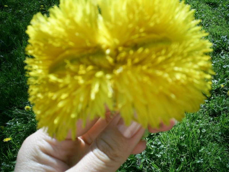 жовнино - Жовнине