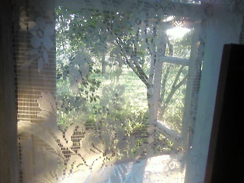 Лемеші.Літо - Лемеши