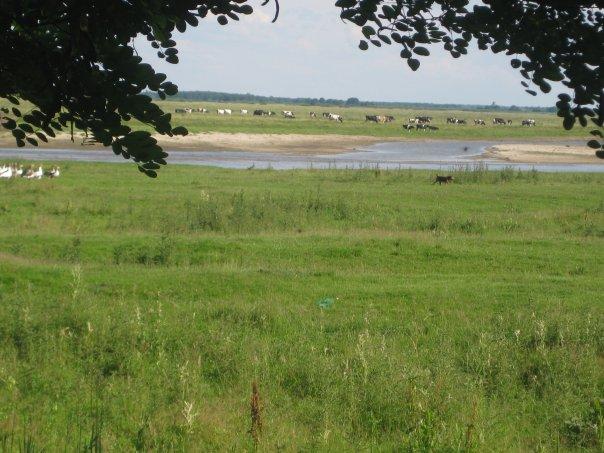 Висоцьк - Висоцьк