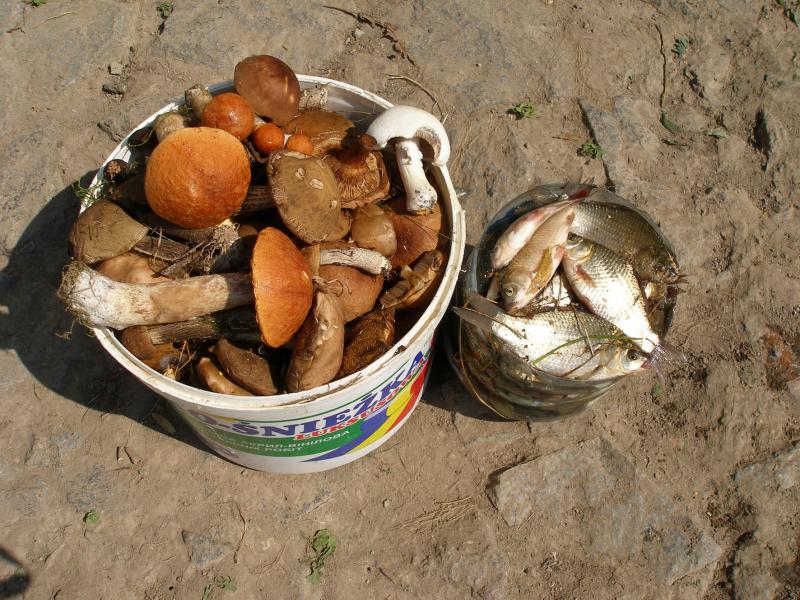 'Ненькина колиска' - Кам'янка