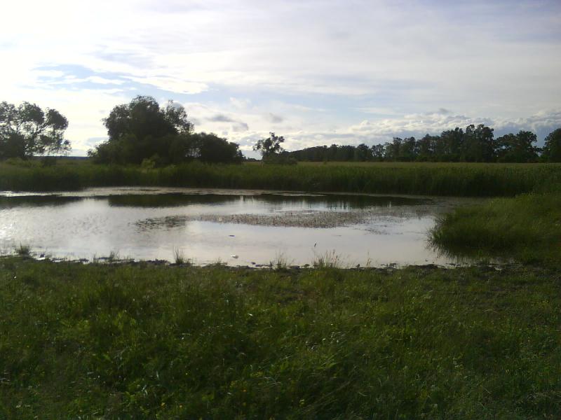 Красиві місця в Майданівці - Майданівка