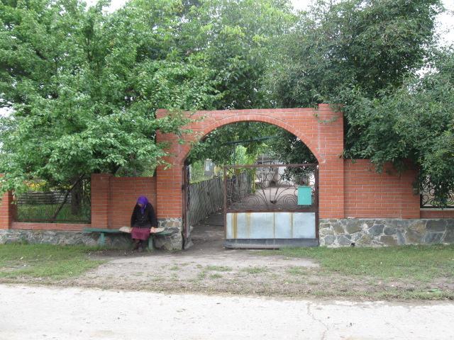 лето - Жорнокльови