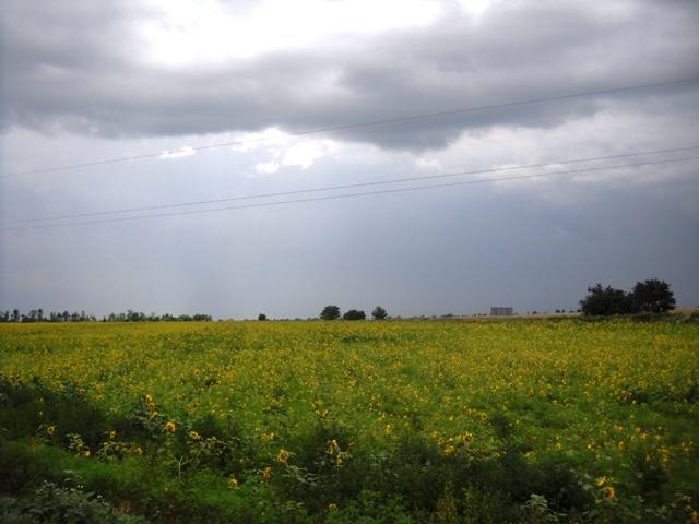 Моє село - Мала Лепетиха