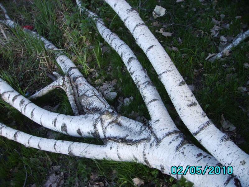 Почапинцы - Почапинці