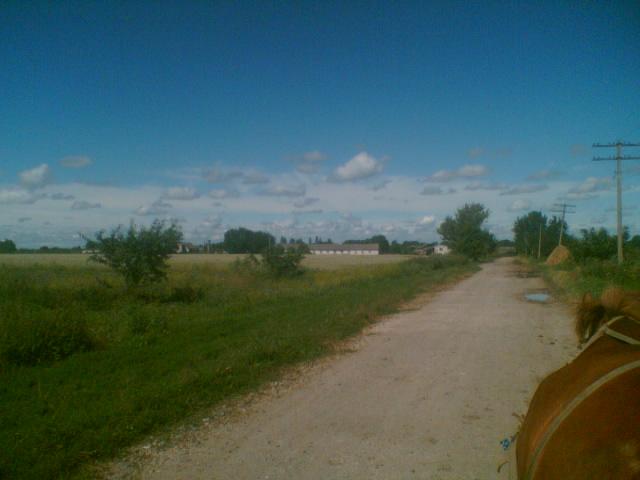 Село - Гальчинці