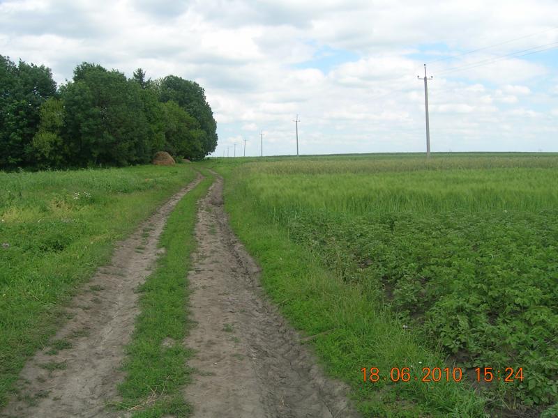 Краса, що оточує нас... - Чайчинці