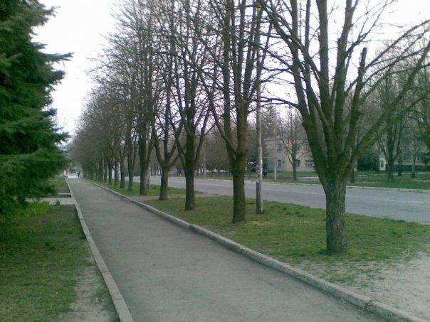 Солоне - Соленое