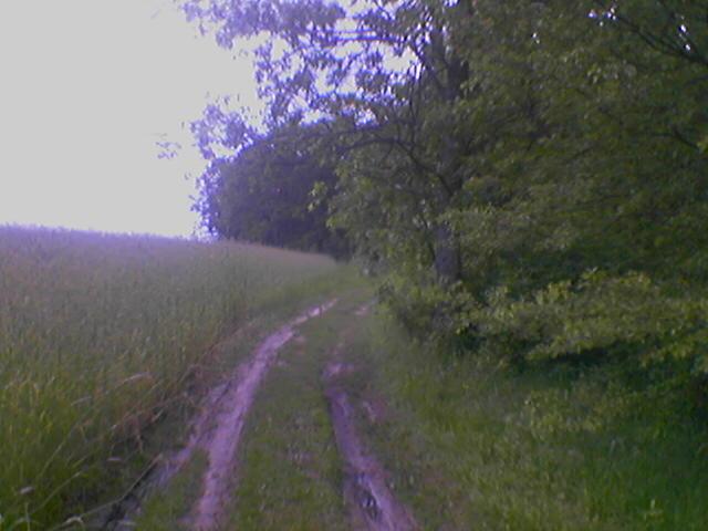 Кукільня - Кукольня