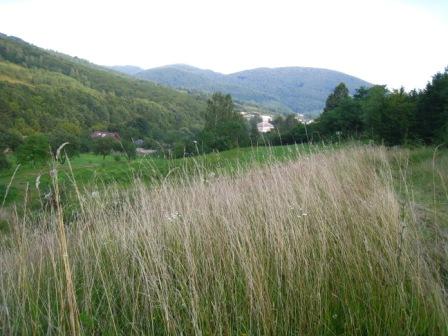 курорт Поляна - Поляна