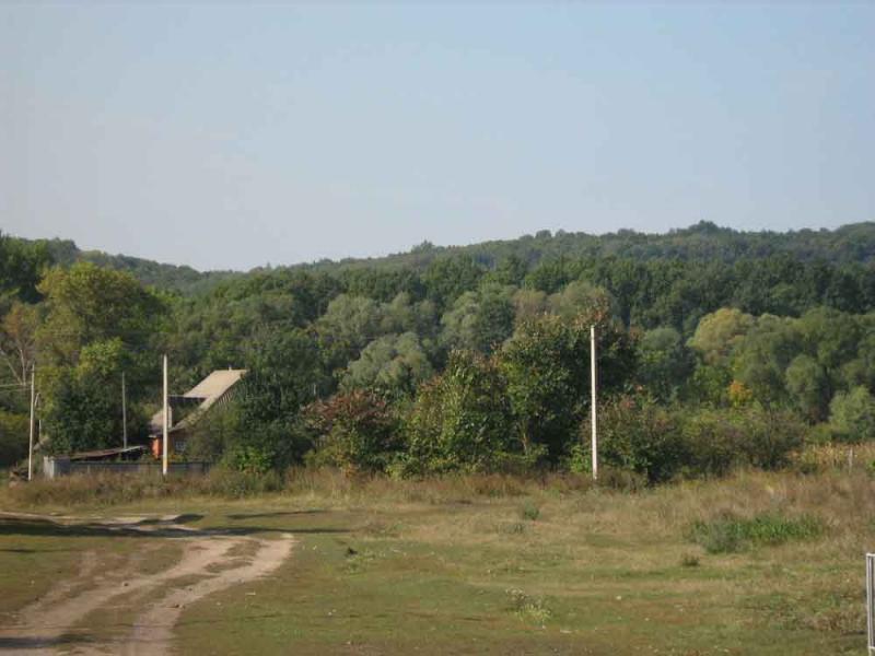 вулиці - Деркачівка