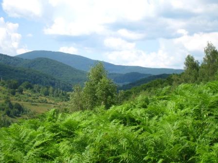 курорт Поляна - Поляна